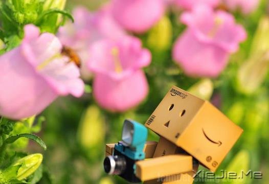 人生,因静而从容,因从容而优雅