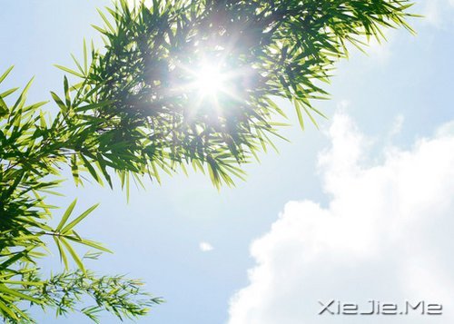 心态不好,人生易老 (4)