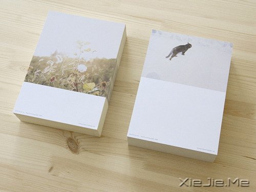 心似莲开,清风自来 (3)