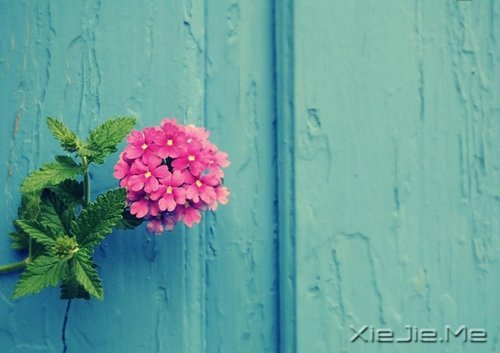 若你懂得,就请珍惜 (2)