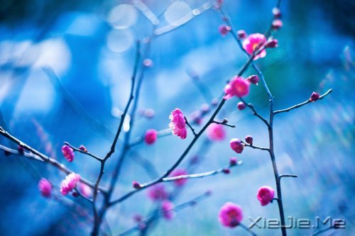 不要艳羡他人,不要输掉自己 (9)