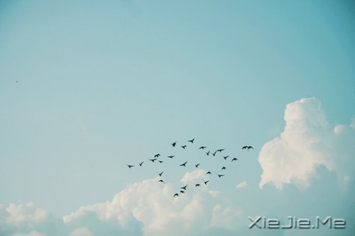 真正的高贵应该是优于过去的自己 (7)