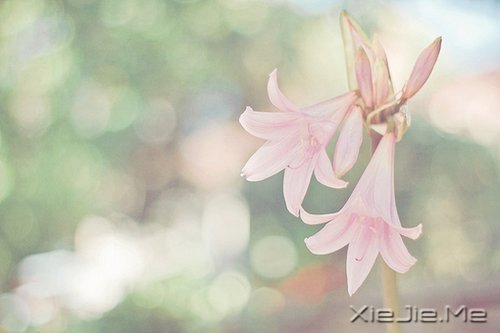 私奔吧,哪怕一个人 (3)