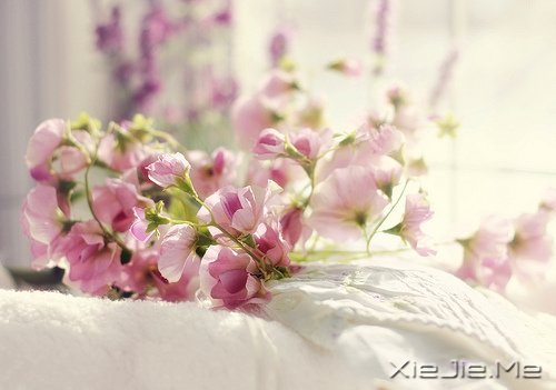 看自己的风景,行自己的人生 (3)