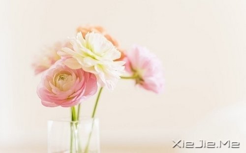 安静下来才能看到真实的自己 (1)