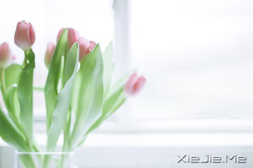 安静下来才能看到真实的自己 (2)