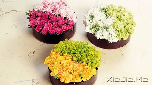 你若盛开,清风自来 (5)