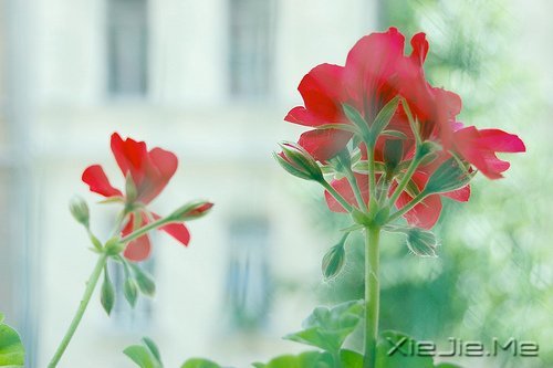 不论这个世界多么糟糕,你自己的世界一定要精彩 (2)