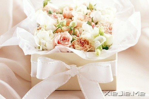 想追求什么,就去努力吧 (3)