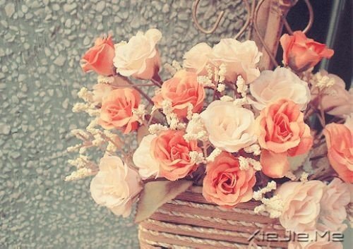 想追求什么,就去努力吧 (10)