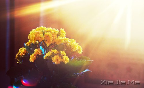 当下的付出,是明日的花开 (3)