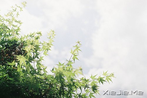 世事自有安排,我们只需顺其自然 (6)