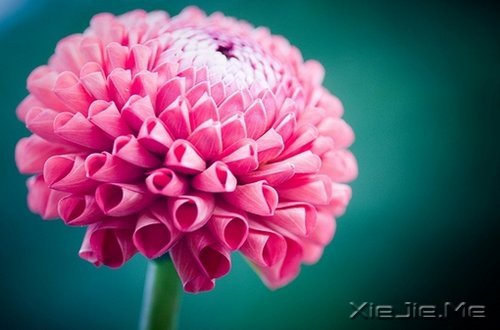 淡然一切,往事如烟 (7)