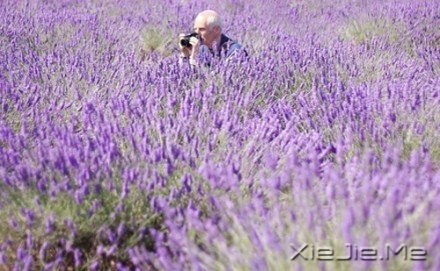 要替别人着想,但为自己而活 (3)