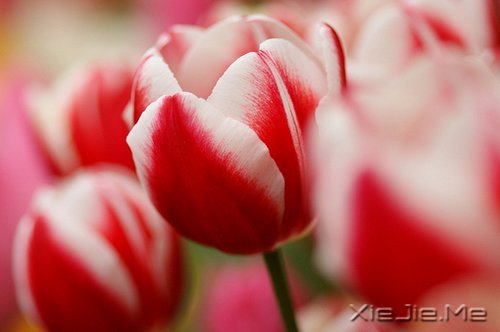 风雨人生,给自己一个微笑 (6)