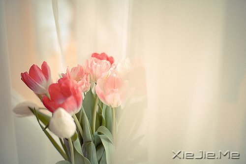 活得平和,才能在心里装下满满的幸福 (1)