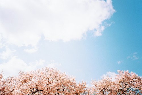 生活中没有理所当然,只有心甘情愿 (1)