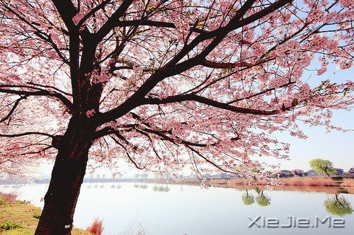 不管成功与否,至少曾经美丽 (2)