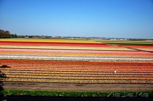 期待一个温柔的距离,保鲜所有美好的记忆 (4)