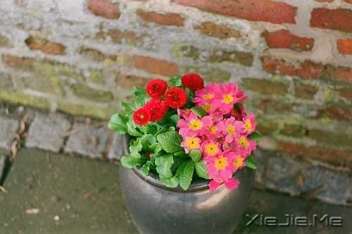 不要踩着别人的脚印,找自己的路 (7)