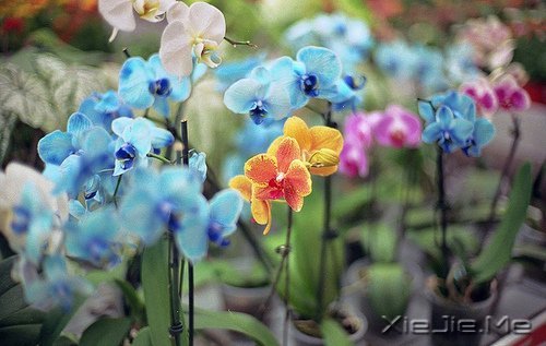 不要踩着别人的脚印,找自己的路 (9)