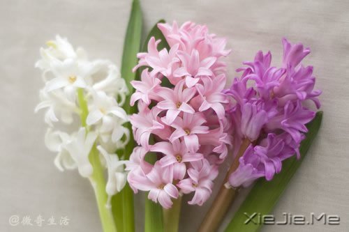 风雨的前方,那是彩虹的方向 (1)