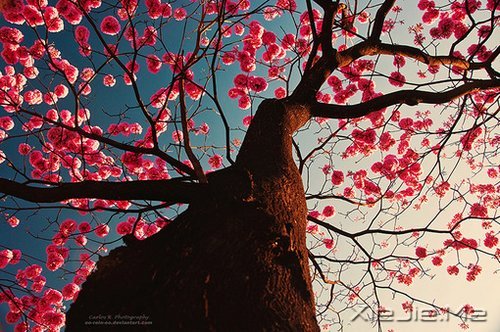 所谓幸福,就是一些不知不觉的小片断 (5)