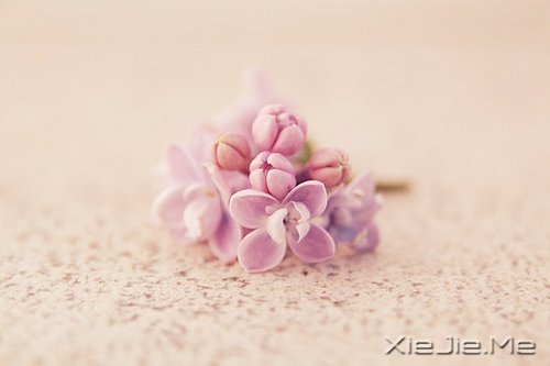 幸福应该是来得巧,而不是来得多 (1)