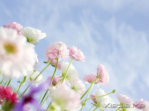 你只有读懂了生命之重,才能看淡时光之轻 (9)