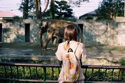 晚安心语:不要因为难过,就忘了散发芳香 (7)