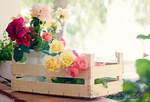 早安心语:别为不该为的人,伤了不该伤的心 (9)