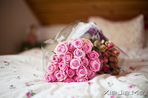 早安心语:做自己生命的主角,而不是别人生命中的看客 (1)