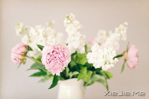 早安心语:做自己生命的主角,而不是别人生命中的看客 (8)