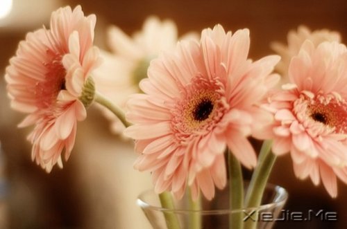 早安心语:控制好心情,生活才会处处祥和 (2)