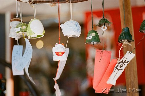 早安心语:人生与命运无关,与自己的选择有关 (3)