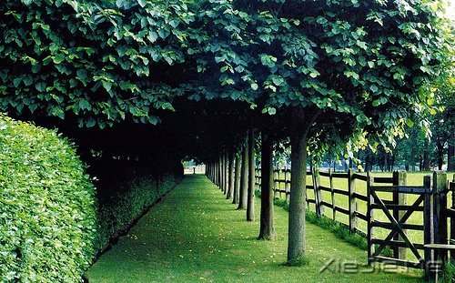 早安心语:过去的就过去了,世界依然美好 (6)