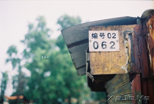 晚安心语:成熟的一面是给外人看的,幼稚的一面是给爱人看的 (12)