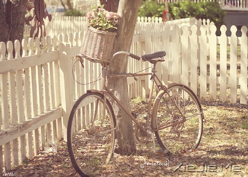 晚安心语:与其诅咒黑暗,不如点亮灯火 (5)