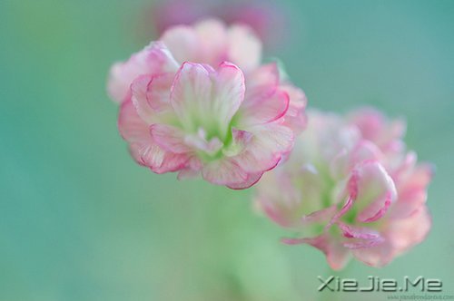 早安心语:收拾心情,重新上路 (2)