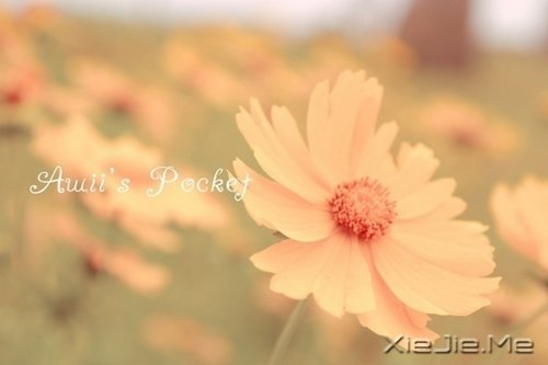 早安心语:收拾心情,重新上路 (7)