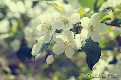 梦想很轻,却因此拥有飞向蓝天的力量 (9)