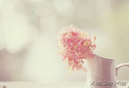 晚安心语:人生最美还是淡然 (8)