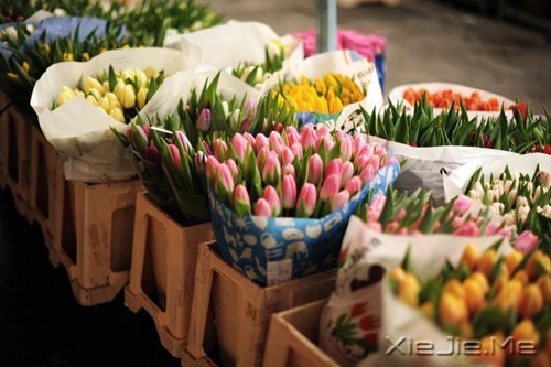 晚安心语:我想要的,一直很简单 (9)