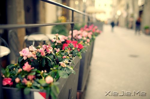 这山长水远的道路,终究是要自己走下去 (9)