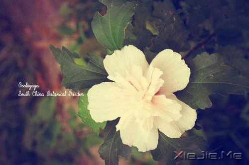 若不是终点,请微笑一直向前 (8)