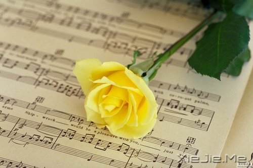 早安心语:淡然一切,往事如烟 (4)