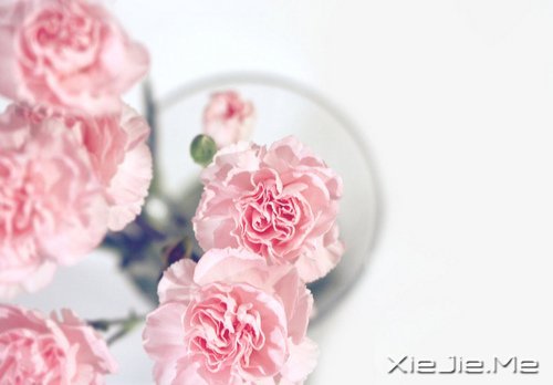 晚安心语:收拾心情,重新上路 (5)