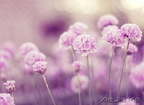 晚安心语:收拾心情,重新上路 (9)