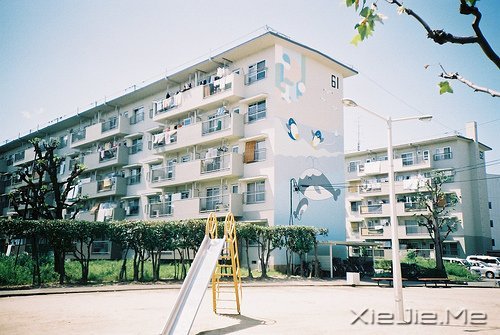 早安心语:音乐,开心时入耳,伤心时入心 (9)