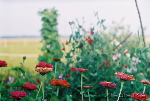 做一个微笑挂在嘴边,快乐放在心上的人 (10)